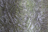 Jesmond fibreglass roof work